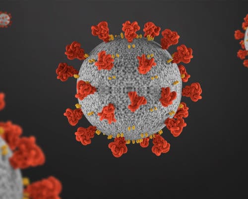 Coronavirus and Immunity - Publishing